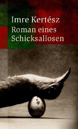 Roman eines Schicksallosen