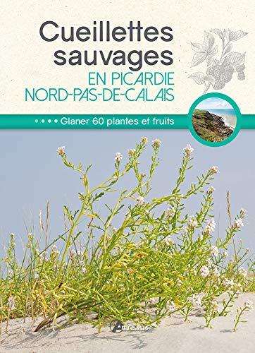 Cueillettes sauvages en Picardie-Nord-Pas-de-Calais : glaner 60 plantes et fruits