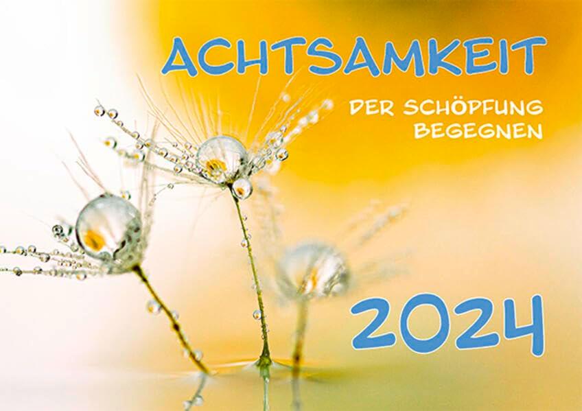 Achtsamkeit 2024: Der Schöpfung begegnen