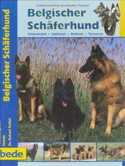 Belgischer Schäferhund, Praxisratgeber: Groenendael, Laekenois, Malinois, Tervueren