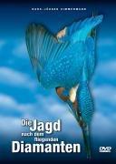 Die Jagd nach dem fliegenden Diamanten - Faszination Eisvogel