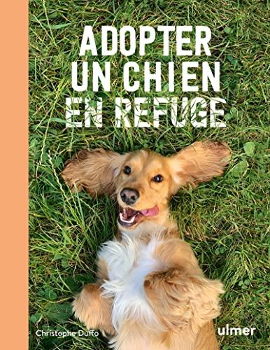 Adopter un chien en refuge