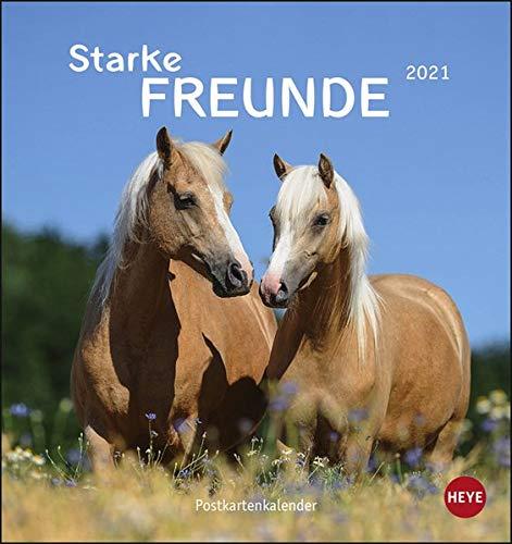 Pferde - Starke Freunde Postkartenkalender 2021 - Kalender mit perforierten Postkarten - zum Aufstellen und Aufhängen - mit Monatskalendarium - Format 16 x 17 cm