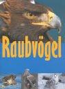 Raubvögel