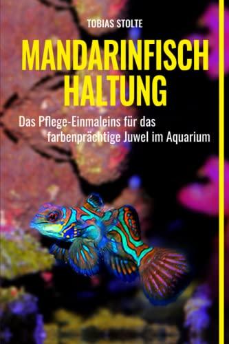 Mandarinfisch Haltung: Pflege-Einmaleins für das farbenprächtige Juwel im Aquarium