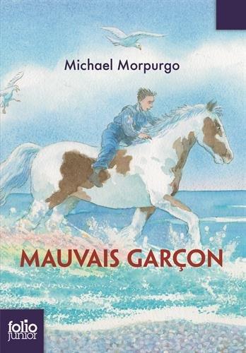 Mauvais garçon