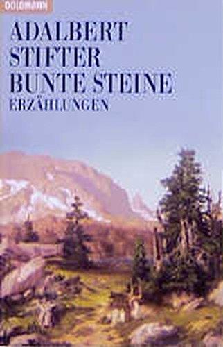 Bunte Steine: Erzählungen (Goldmann Klassiker / Studienausgaben)