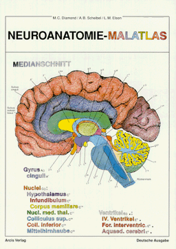 Neuroanatomie - Malatlas