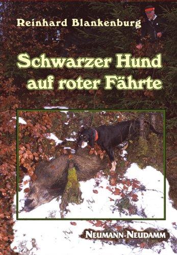 Schwarzer Hund auf roter Fährte