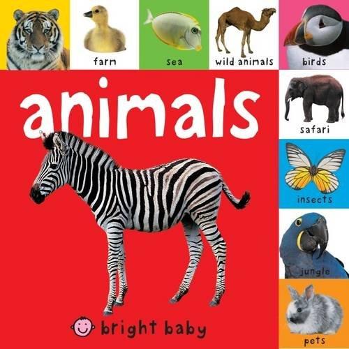 Animals (Wipe Clean Activity Flashcards)