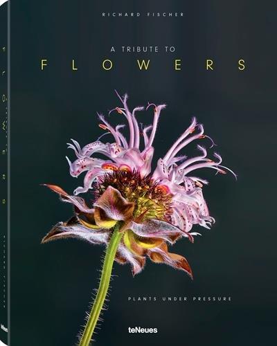 A Tribute to FLOWERS, Hardcover version