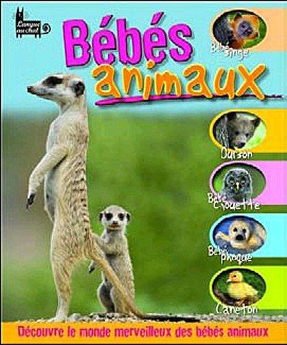 Bébés animaux