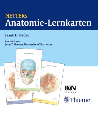 Netters Anatomie-Lernkarten