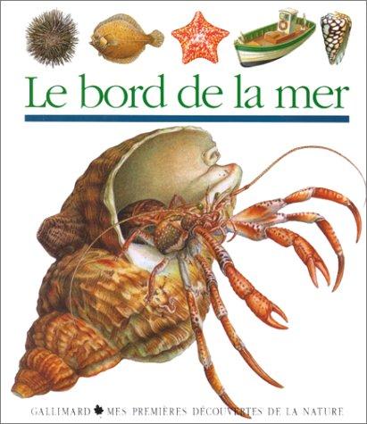 Le bord de la mer