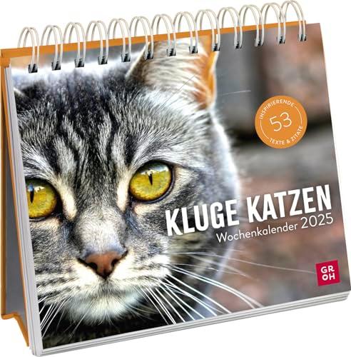 Wochenkalender 2025: Kluge Katzen: Katzenkalender zum Aufstellen mit Wochenkalendarium, Tischkalender als Geschenk für Katzenfreunde