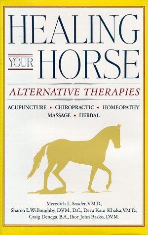 Healing Your Horse: Alternative Therapies