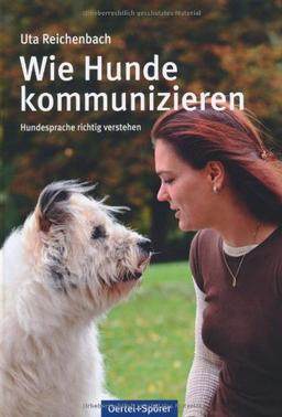 Wie Hunde kommunizieren: Hundesprache richtig verstehen