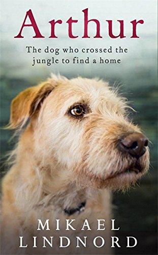 Arthur: The dog who crossed the jungle to find a home