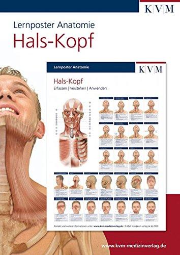 Lernposter Anatomie: Region Hals - Kopf (Die Muskelbuch-Reihe)