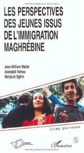 Les perspectives des jeunes issus de l'immigration maghrébine