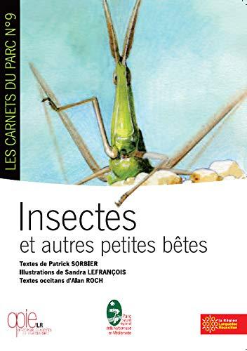 Insectes et autres petites bêtes