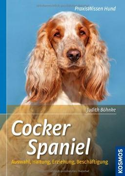 Cocker Spaniel: Auswahl, Haltung, Erziehung, Beschäftigung