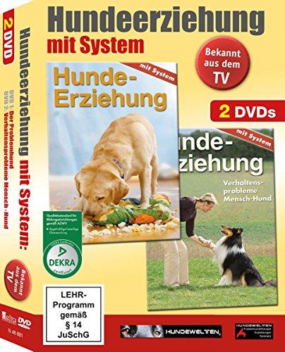 Hundeerziehung mit System: Meinen Hund Verstehen [2 DVDs]