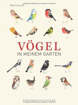 Vögel in meinem Garten. Das Geschenkbuch mit ca. 100 bezaubernden Illustrationen und Anekdoten rund um Kohlmeise, Grünspecht, Rotkehlchen und andere Gartenvögel