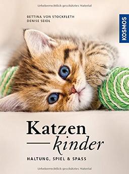 Katzenkinder: Haltung, Spiel & Spaß