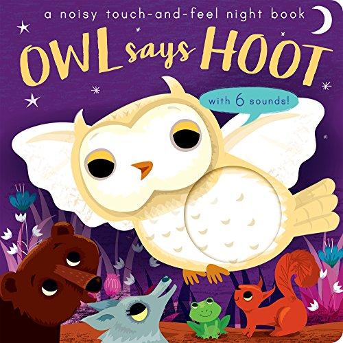 Owl Says Hoot: A noisy touch-and-feel night book (Noisy Touch-and-Feel Books)