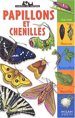 Papillons et chenilles