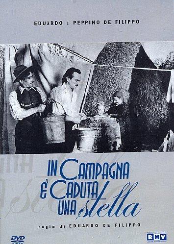 In campagna è caduta una stella [IT Import]