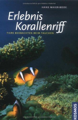 Erlebnis Korallenriff: Tiere beobachten beim Tauchen