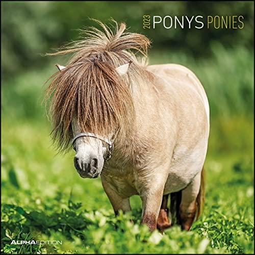 Ponys 2023 - Broschürenkalender 30x30 cm (30x60 geöffnet) - Kalender mit Platz für Notizen - Ponies - Bildkalender - Wandplaner - Pferdekalender: Ponies - Pferde