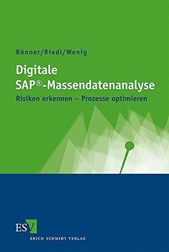 Digitale SAP®-Massendatenanalyse: Risiken erkennen - Prozesse optimieren