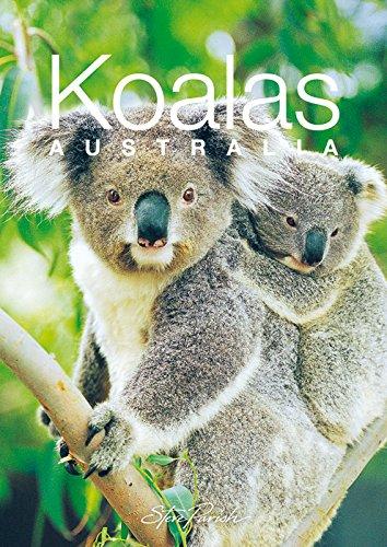 Koalas Australia - A little Australian Gift book