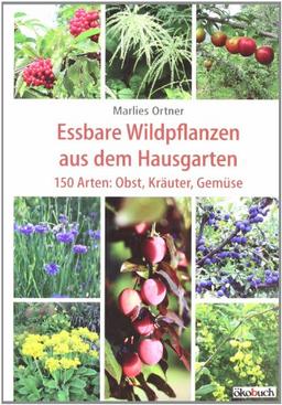 Essbare Wildpflanzen aus dem Hausgarten 150 Arten: Obst, Kräuter, Gemüse