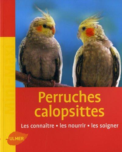 Perruches calopsittes : les connaître, les nourrir, les soigner