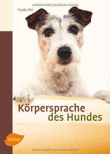 Körpersprache des Hundes: Ausdrucksverhalten erkennen und verstehen