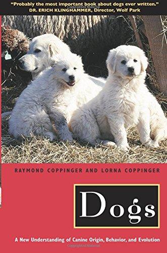 Dogs: A New Understanding of Canine Origin, Behavior and Evolution