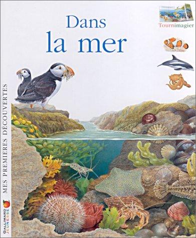 Dans la mer