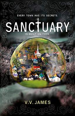 Sanctuary: The Top Ten Sunday Times Bestseller