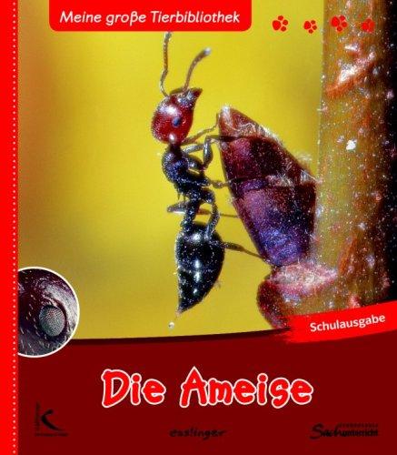 Die Ameise: Meine große Tierbibliothek