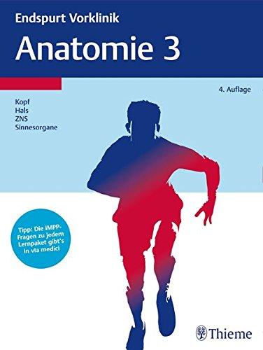 Endspurt Vorklinik: Anatomie 3: Die Skripten fürs Physikum