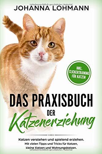 Das Praxisbuch der Katzenerziehung: Katzen verstehen und spielend erziehen. Mit vielen Tipps und Tricks für Katzen, kleine Katzen und Wohnungskatzen.