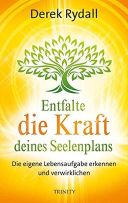 Entfalte die Kraft deines Seelenplans: Die eigene Lebensaufgabe erkennen und verwirklichen