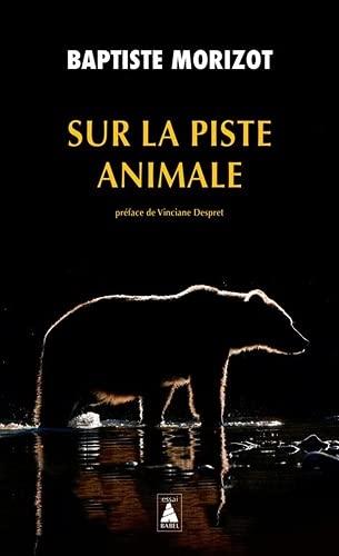 Sur la piste animale