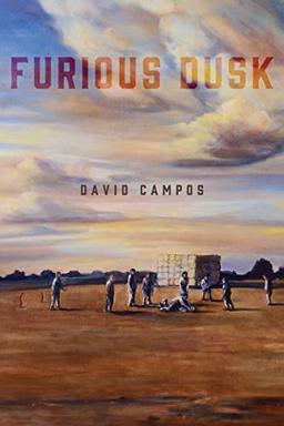 Furious Dusk (The Andrés Montoya Poetry Prize)