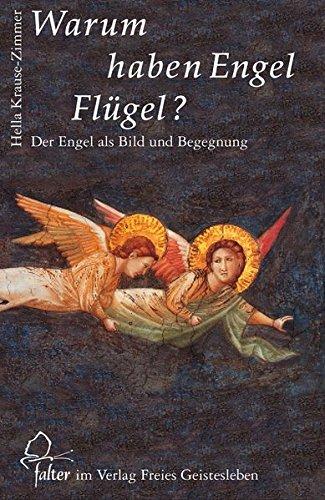 Warum haben Engel Flügel?: Der Engel als Bild und Begegnung (Falter)