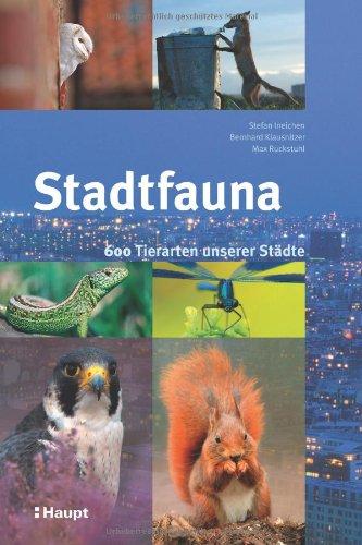 Stadtfauna: 600 Tierarten unserer Städte